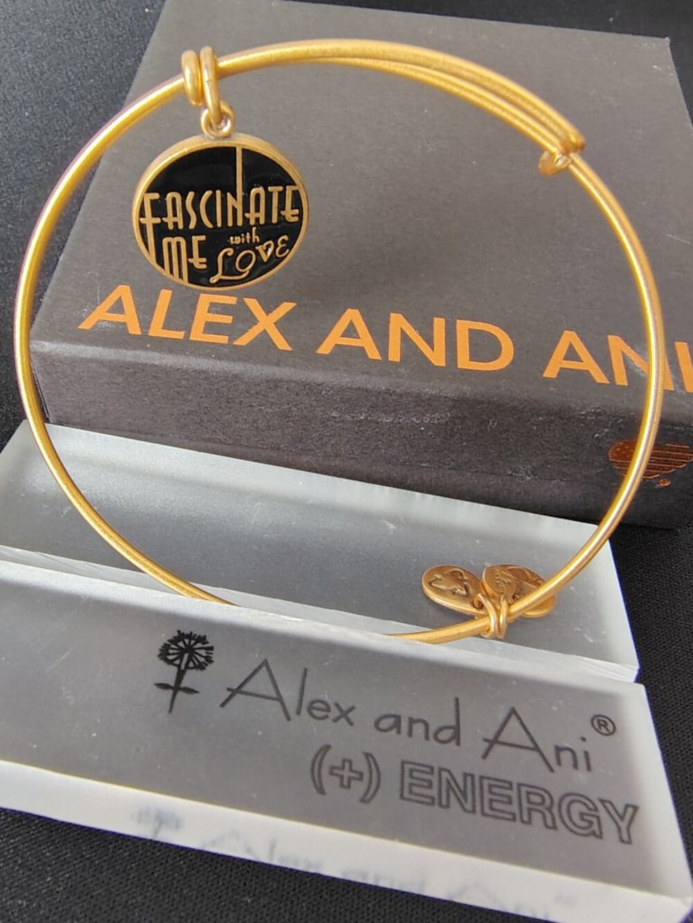 Discontinued Alex and Ani Fascinate Me With Love 812